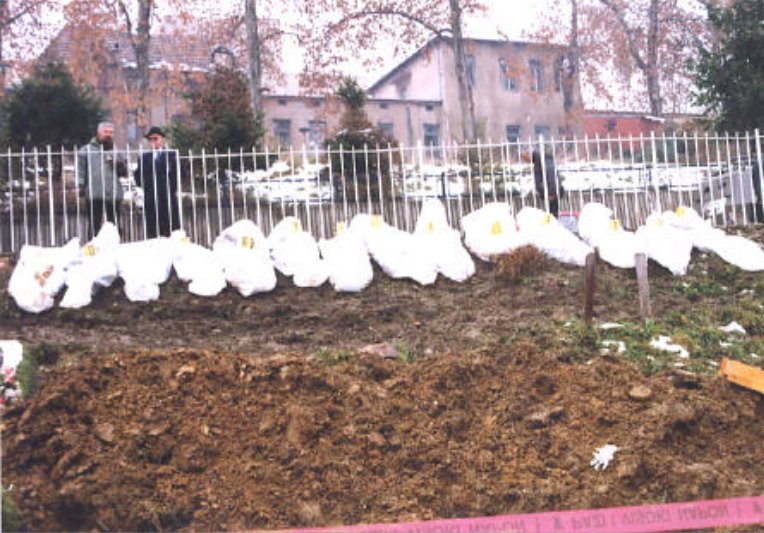 EAGLE 🇷🇸 tweet media