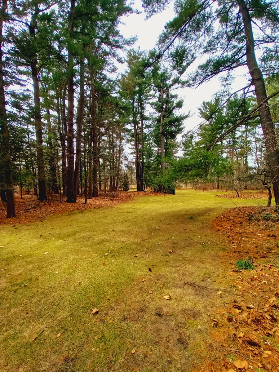 Bill Blake tweet media