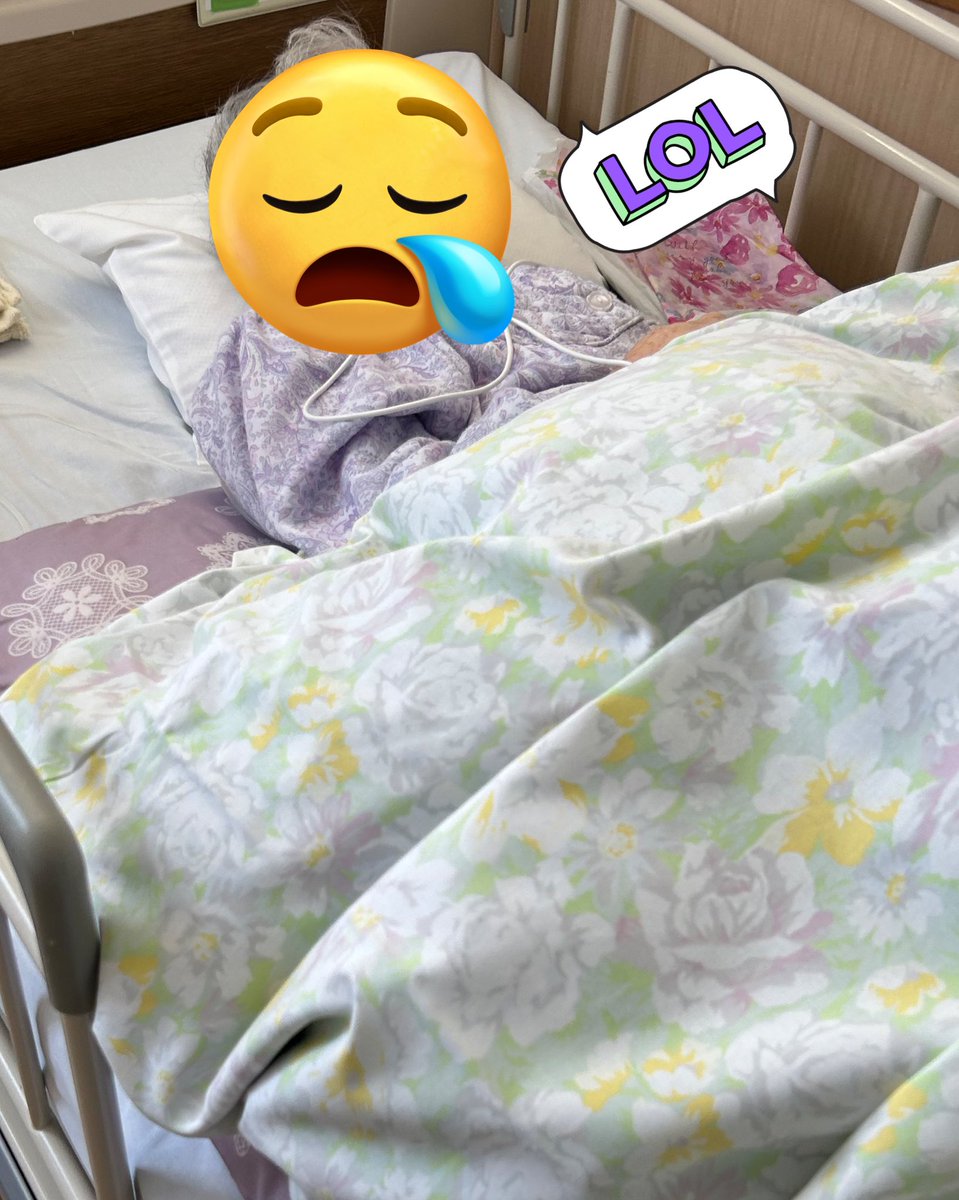 ひとみゃん👦🏻💗🐈‍⬛(˶' ᵕ ' ˶)🌷🌳🍀介護＆日常🍀朝ツイ連載中✍️ tweet media