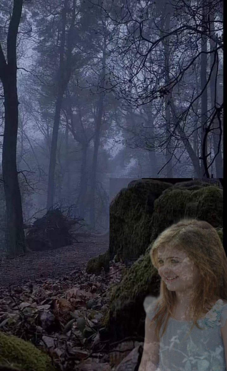 لحن الحياة🇸🇦 tweet media