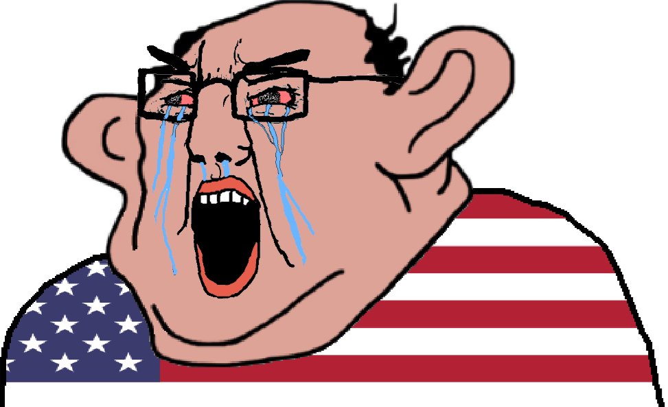 snapsorg tweet media