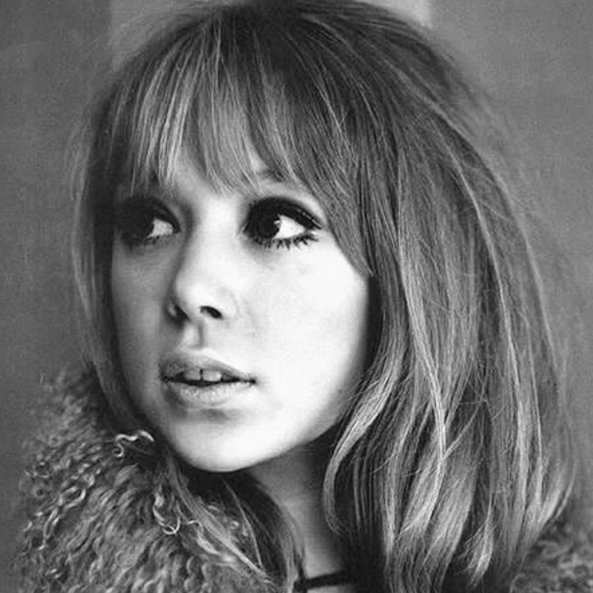 daily aimee lou wood tweet media