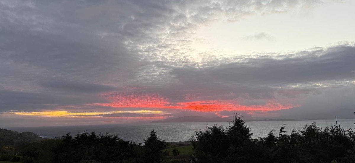 tony hourihan tweet media