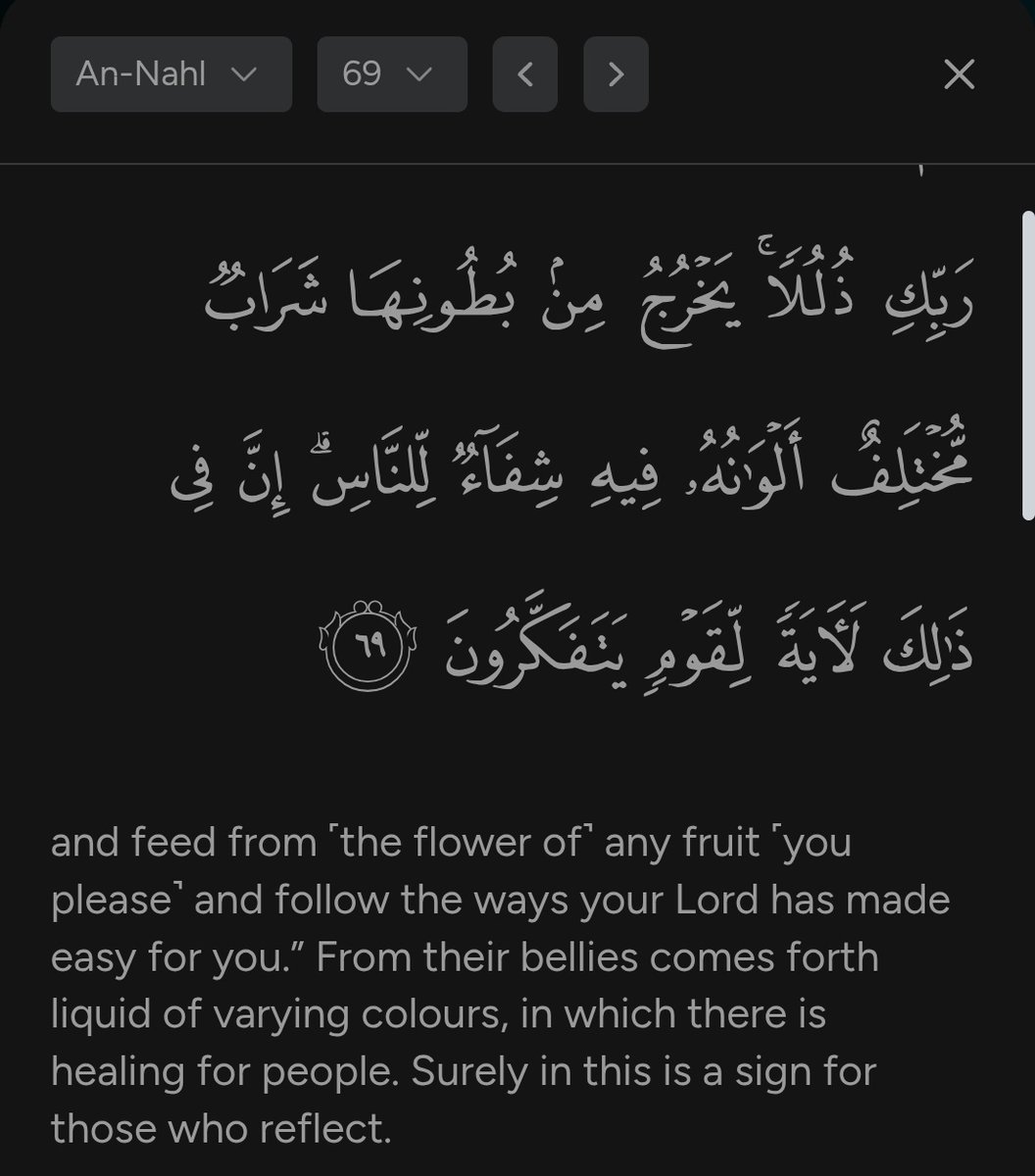 Mr Terra Chad tweet media