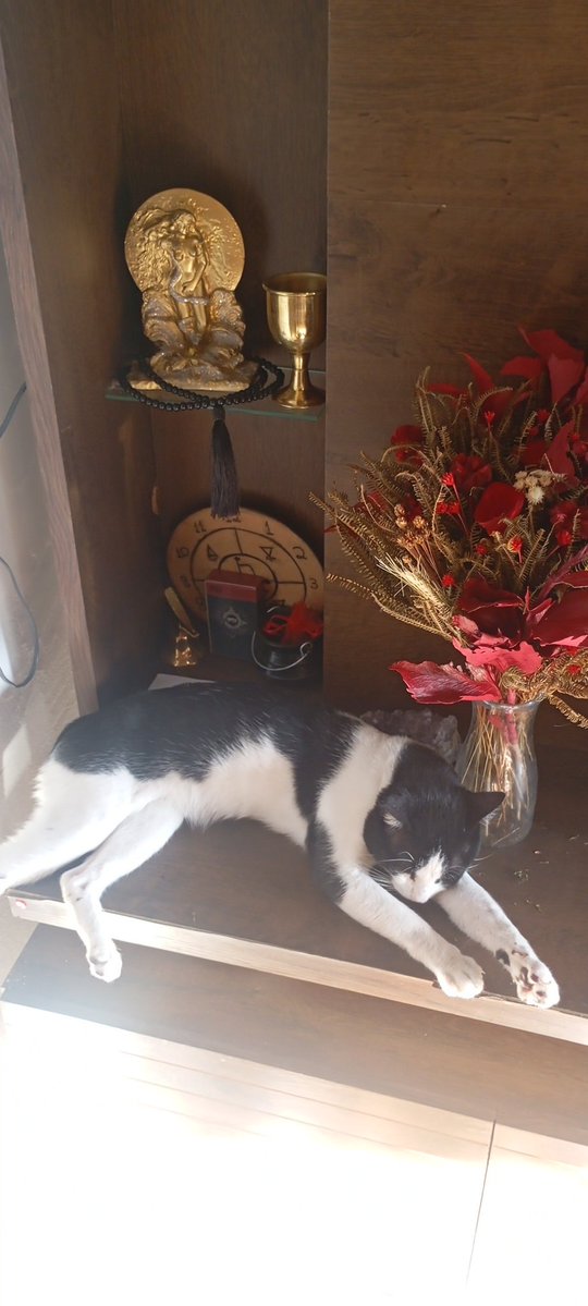 Filha das Almas | Cartomante tweet media