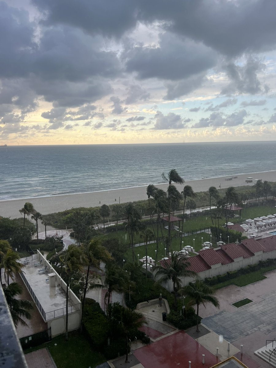 Cipriana Canovi tweet media