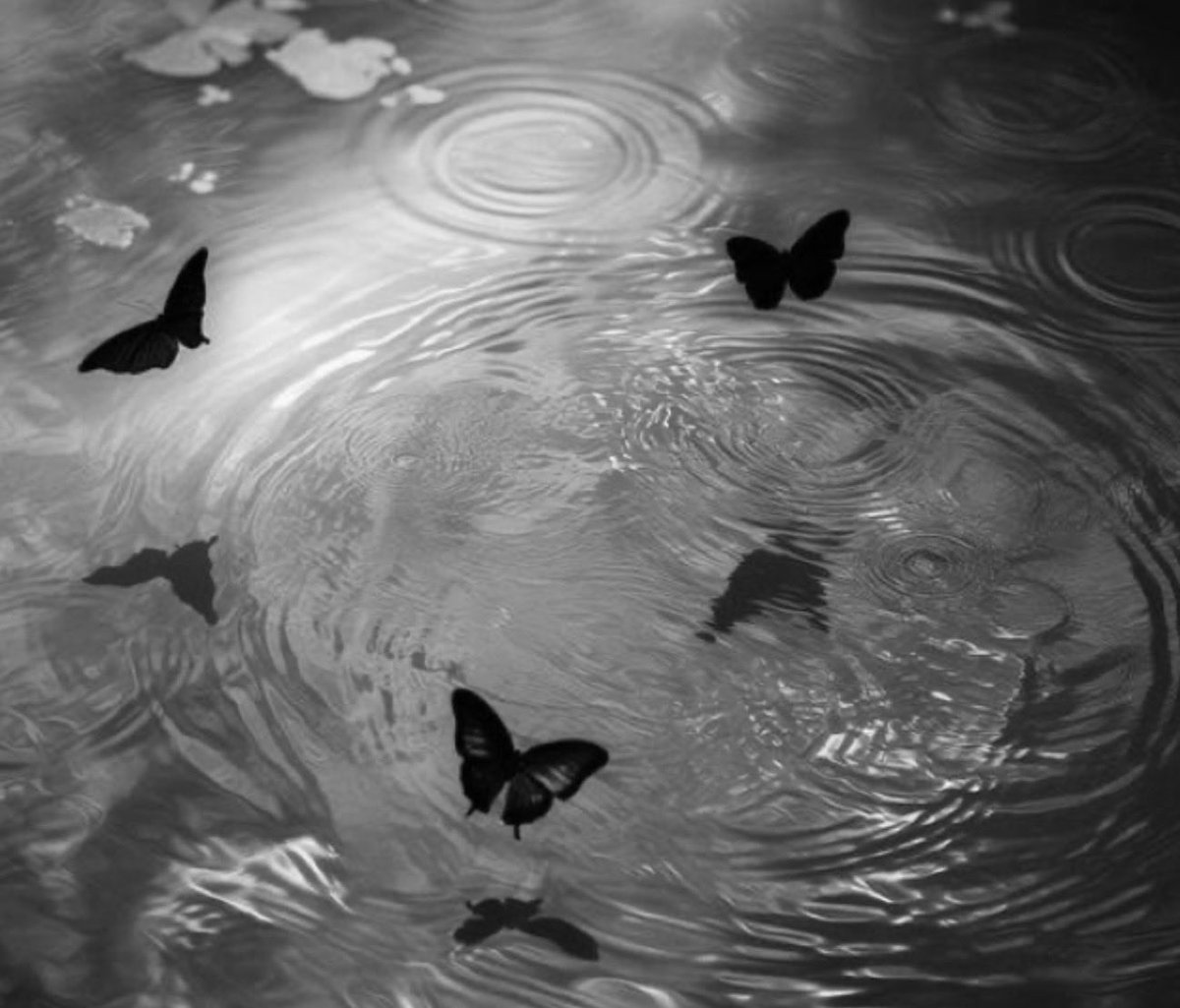 AnaAnna (@anaanna1081422) on Twitter photo 