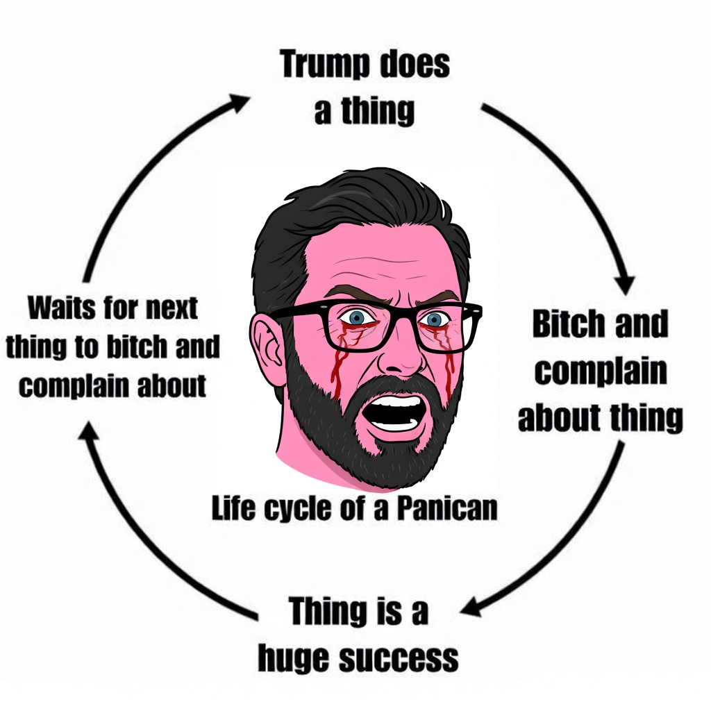 The Chaotic Conservative tweet media