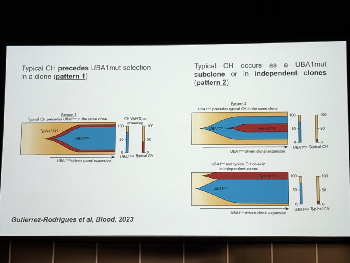 Nathan Punwani tweet media