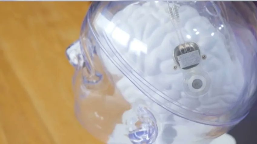 Professor Paulo Basso 🇧🇷🇨🇺🇵🇸🇮🇷 tweet media