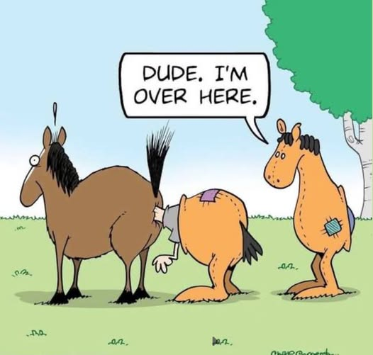 André Schneider tweet media