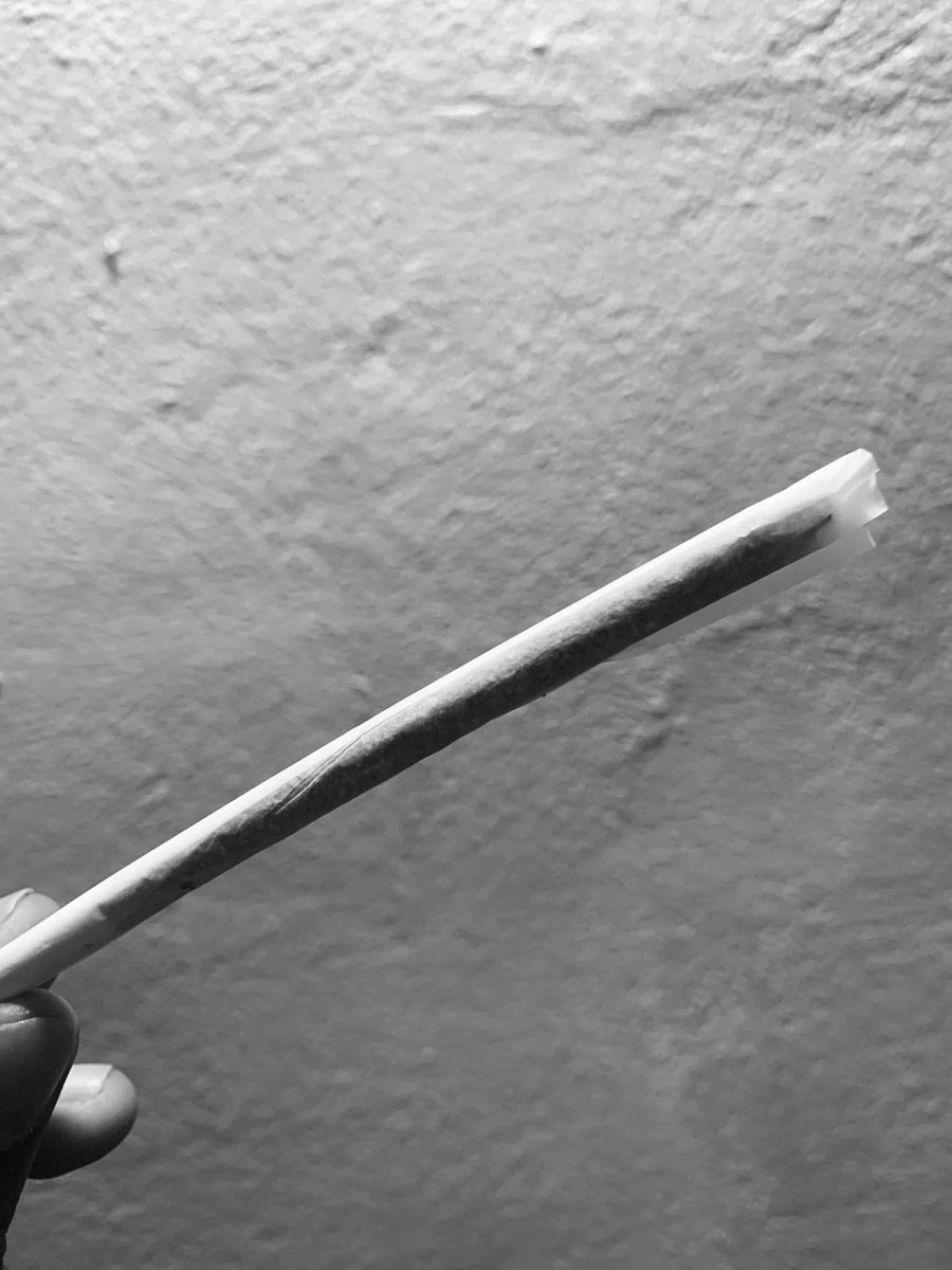 Ốc Sên Cưỡi Mây 🐌⛅️ tweet media