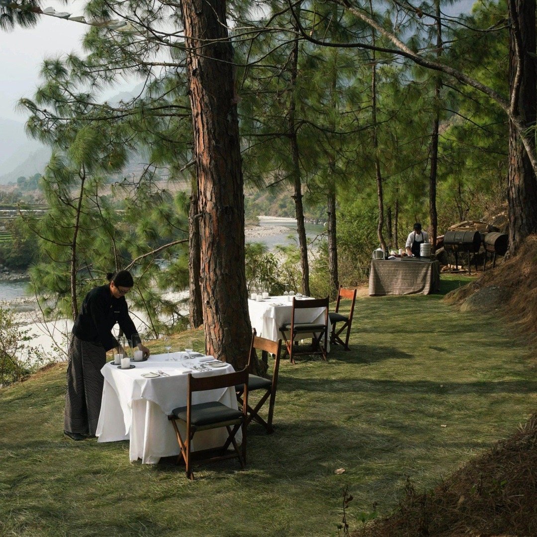 alexisreid tweet media