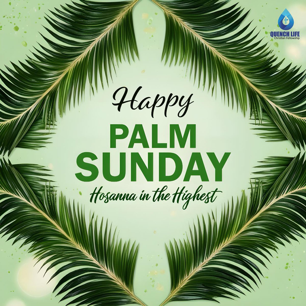 Quench Life tweet media