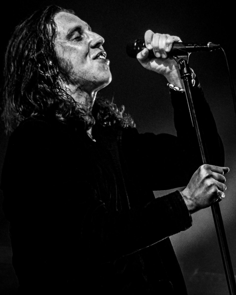 amy ✮⋆˙ tweet media