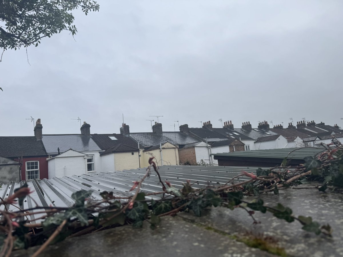 Ruffluv71 tweet media