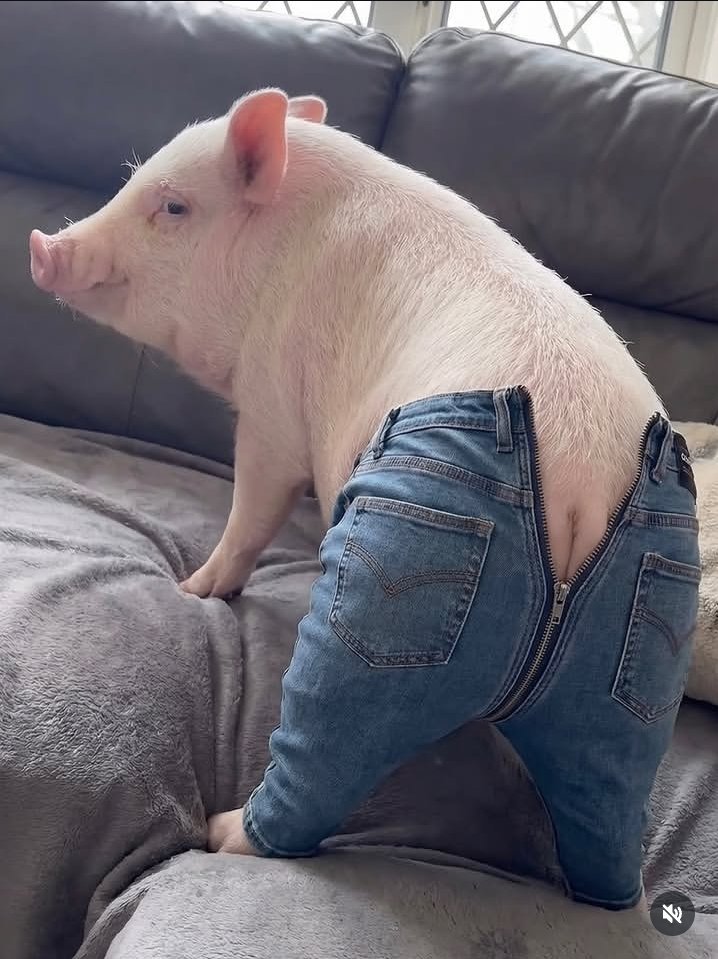 Bìýœďųň tweet media