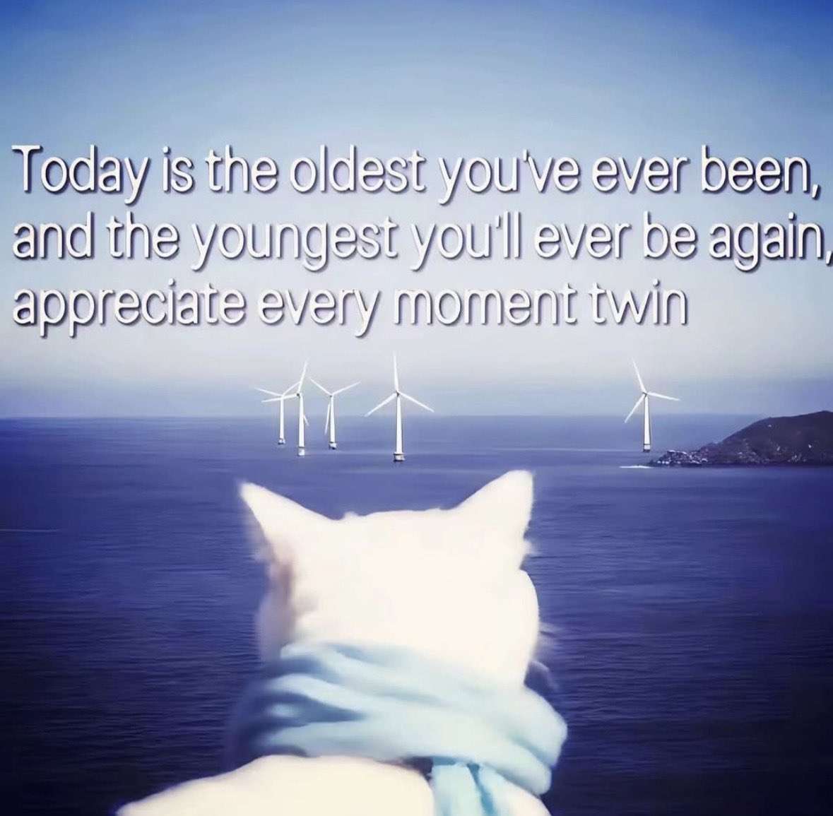 Respectful Memes tweet media