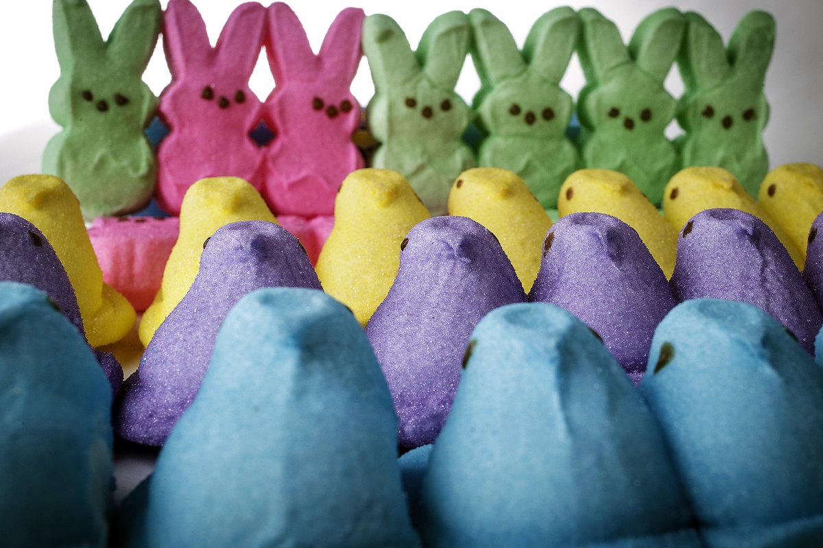 ᕲσσꪑ tweet media