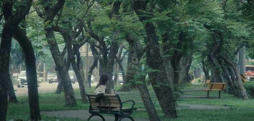 sᴏᴍᴀ tweet media