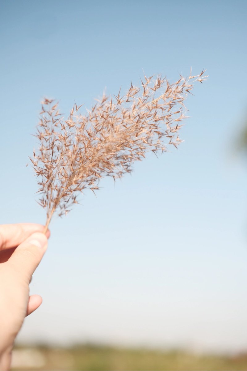 Thorsten Schäfer tweet media