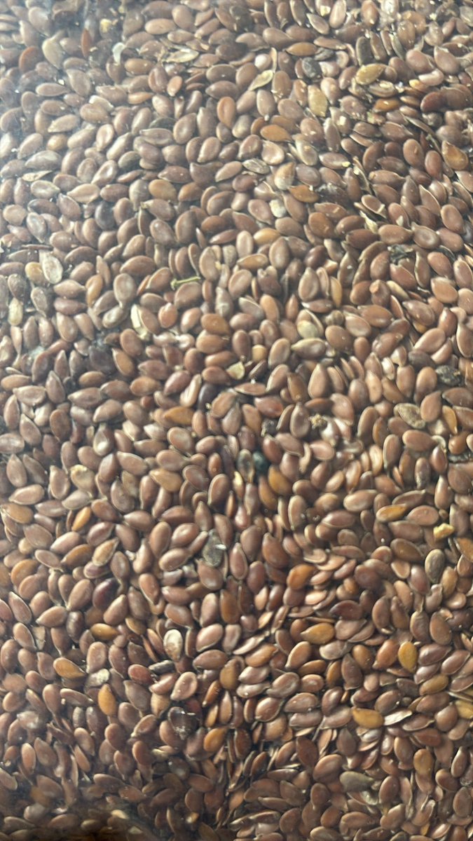 Water Miser tweet media