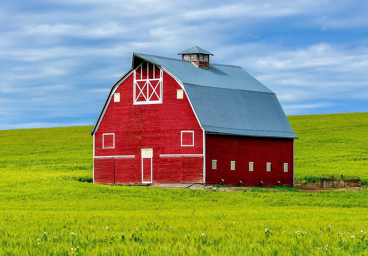 Joe Judge tweet media