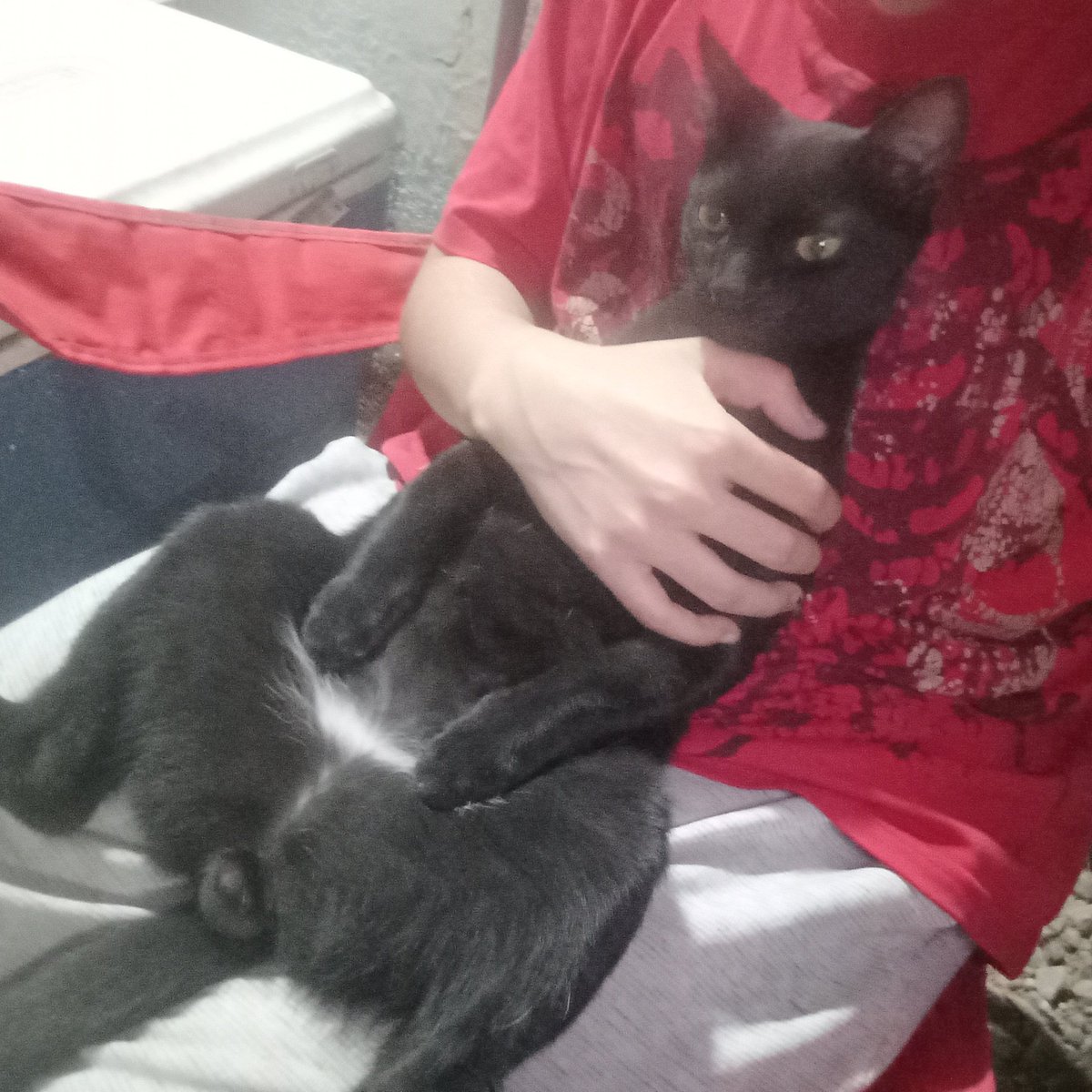 TobBunny໒꒰ྀི´- ˕ -` ꒱ྀིა tweet media