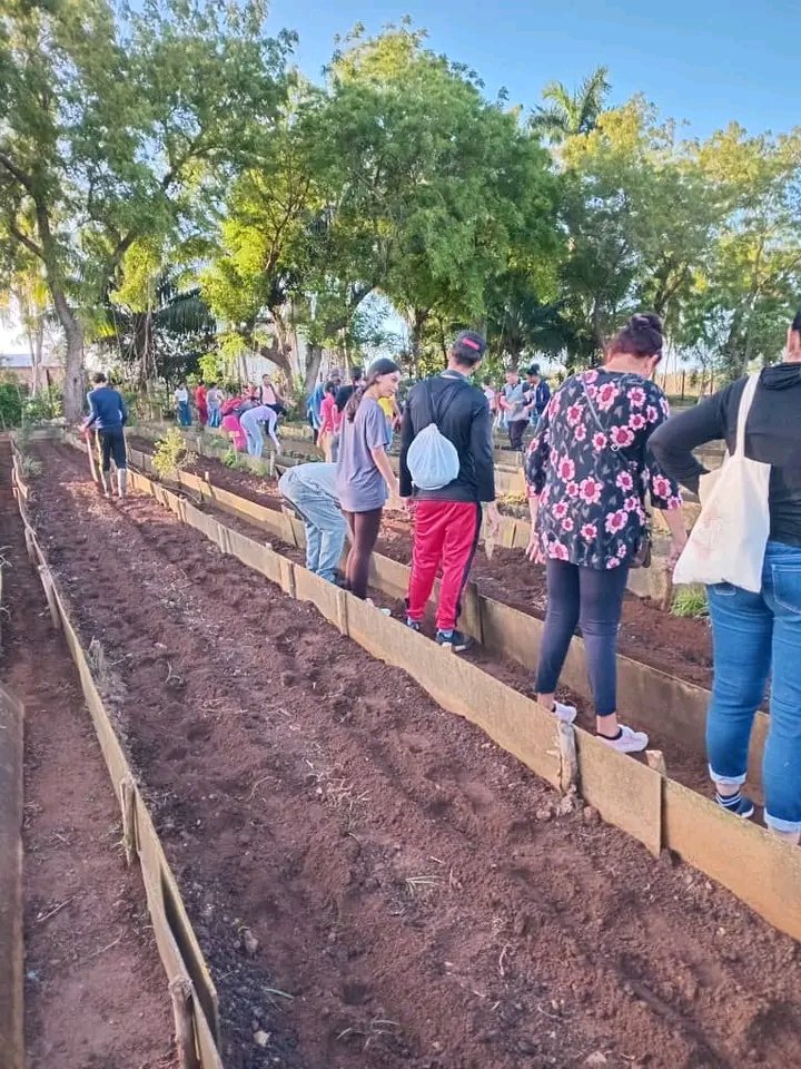 Manuel Aguiar Lamas tweet media