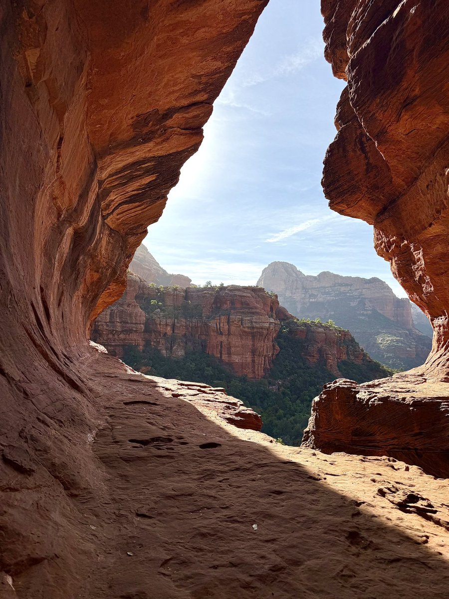 Max Silver tweet media