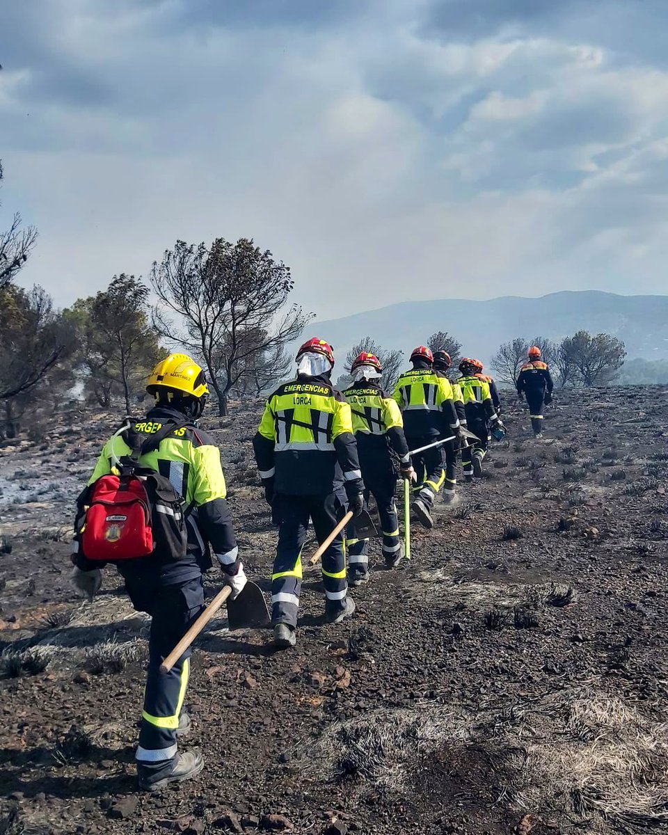 Serv. Emergencias y Protección Civil de Lorca tweet media