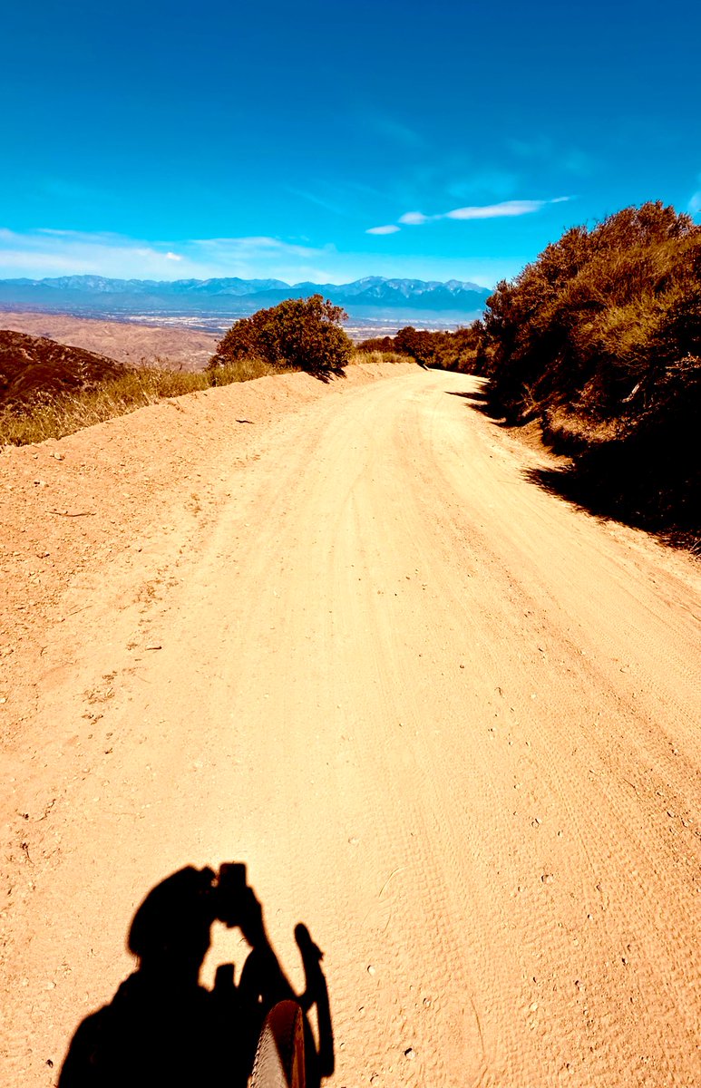 FRAUDSTRONG tweet media