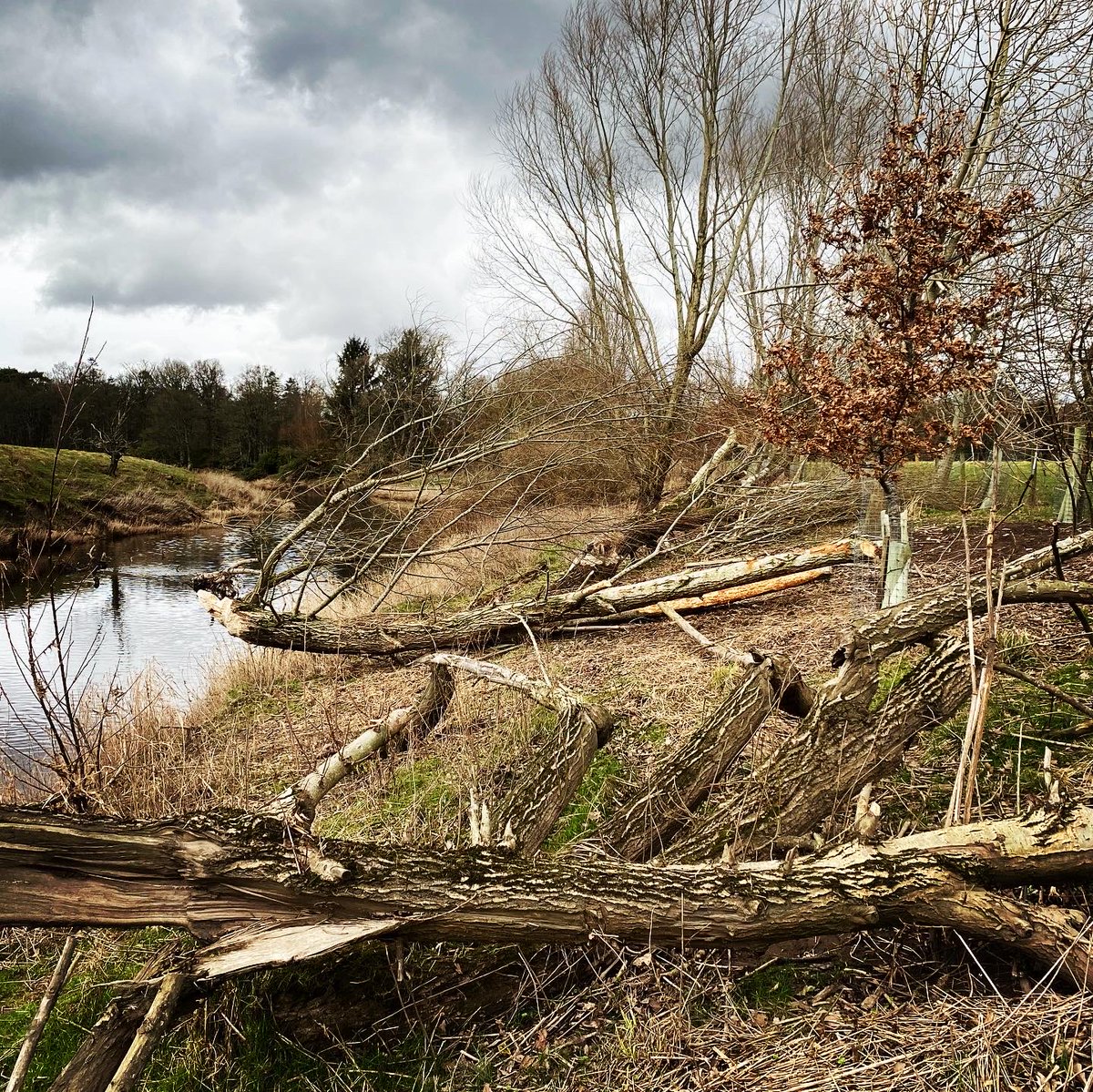 Tom Scott tweet media