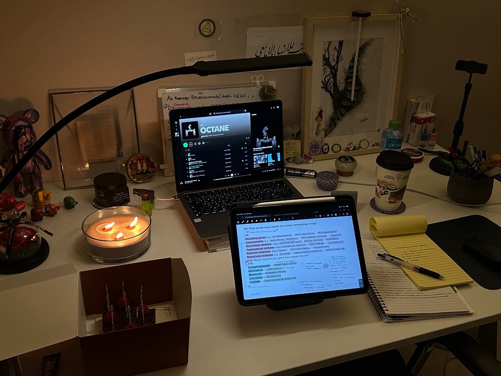 Hala | هلا tweet media