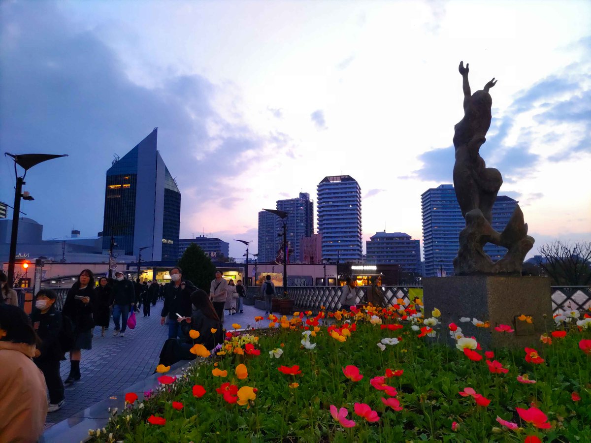 H･Y(Plymouth) tweet media