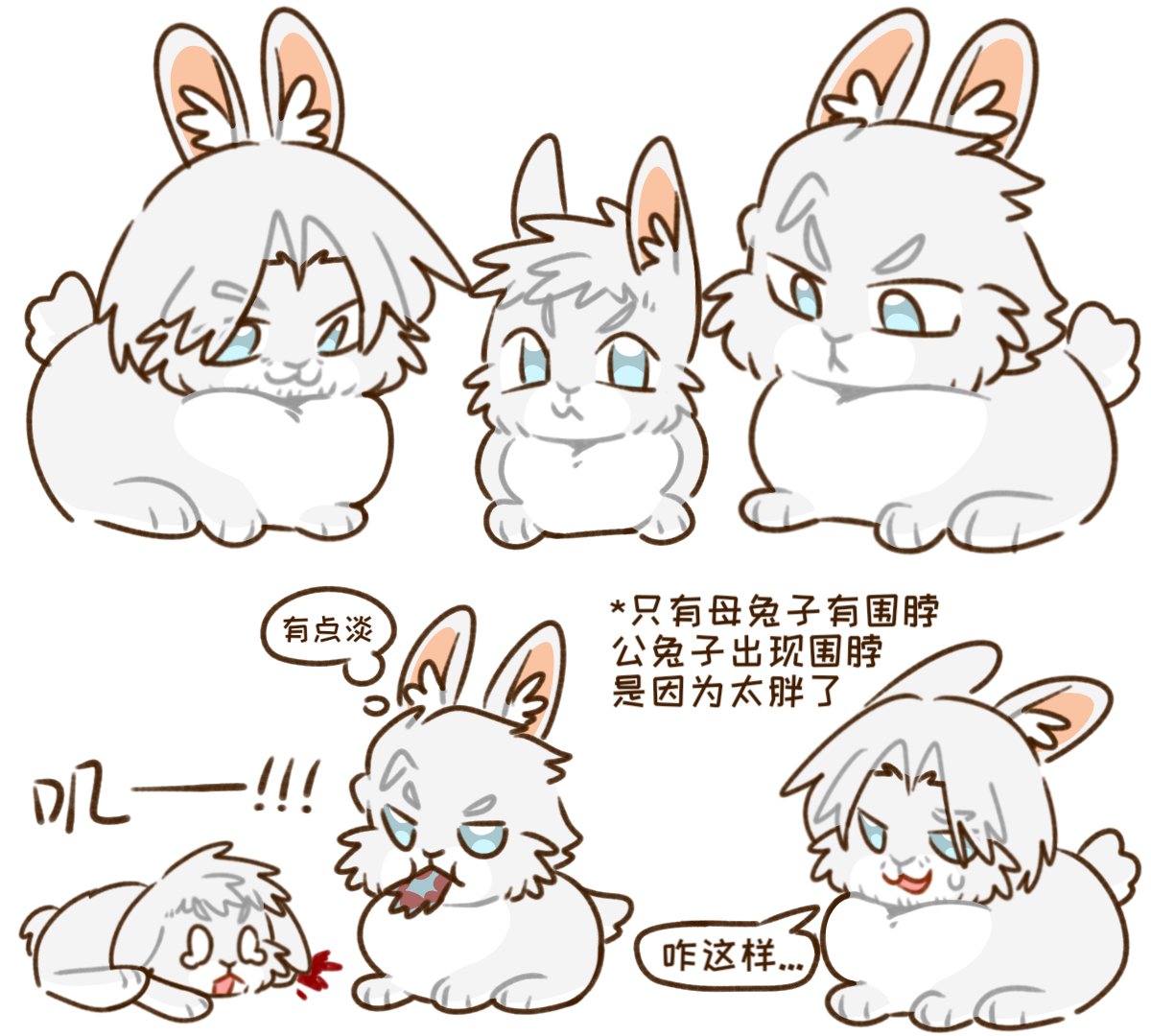 kuku🐾 tweet media