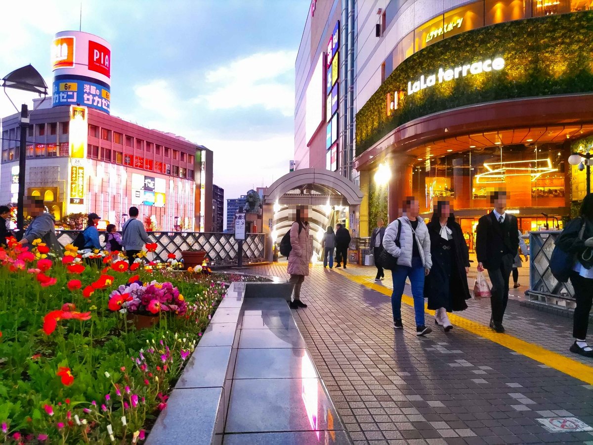 H･Y(Plymouth) tweet media