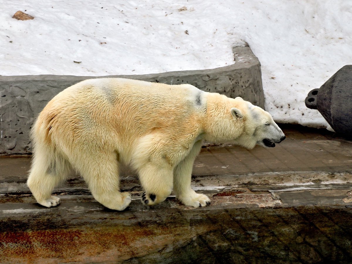 PEKHTography tweet media