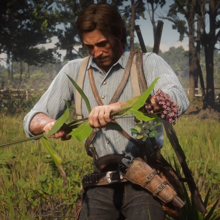 arthur morgan picking flowers ♡.ᐟ