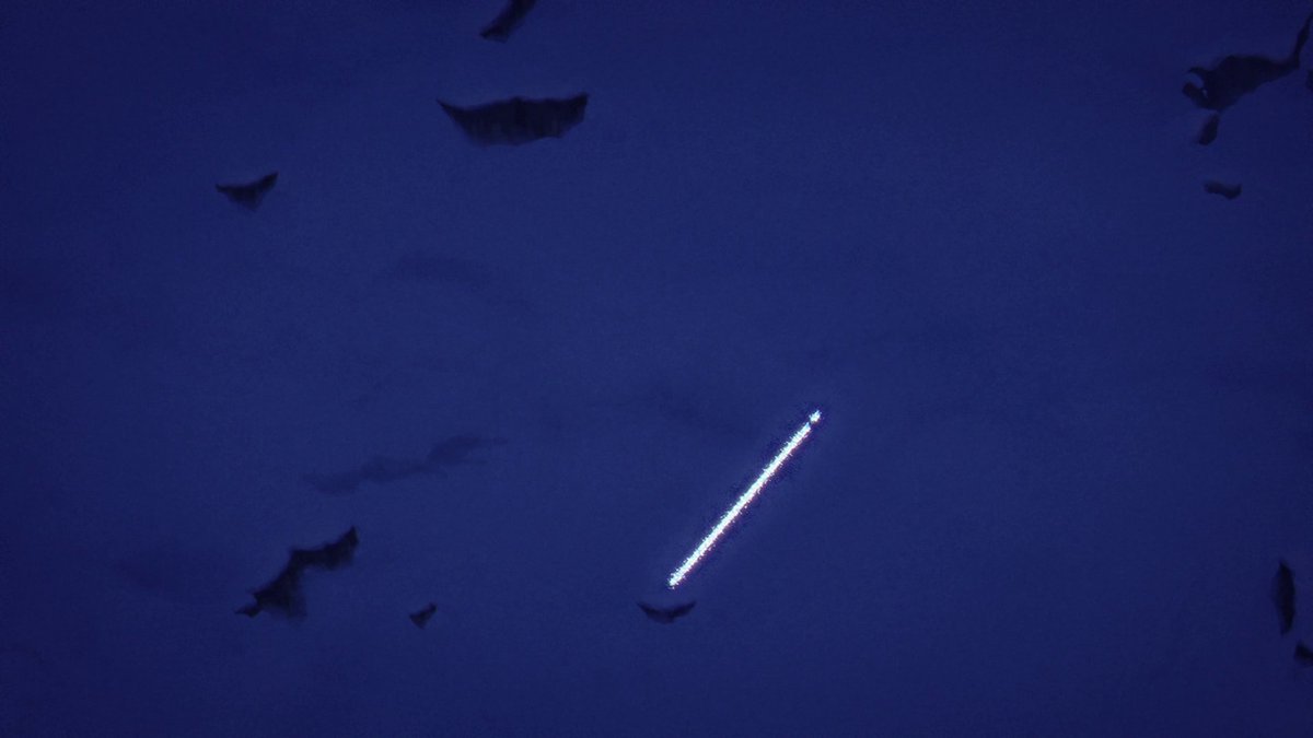 hgfdsahjkl tweet media