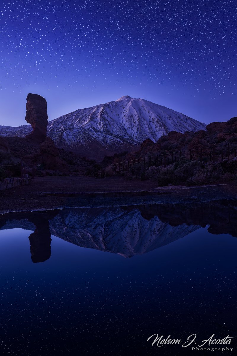 Nelson J. Acosta 🏴󠁧󠁢󠁳󠁣󠁴󠁿 tweet media