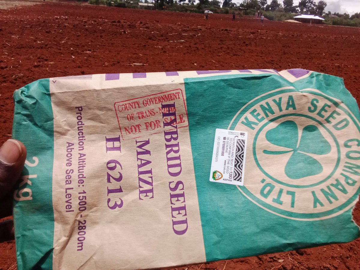 POKOT ICON tweet media