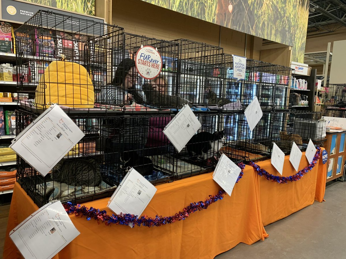 FeralCatProgramGA tweet media