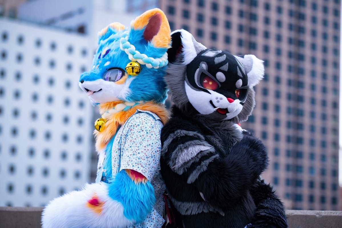 Azuki 🔜 FWA ArFF AC ASC Infurnity? FURUM tweet media