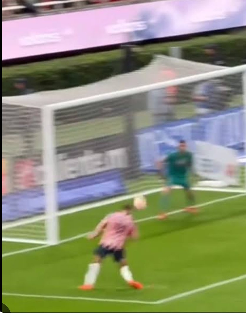 Gato de Tlalpan ®️ 🏆²⁰ tweet media