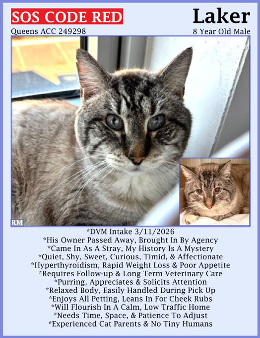 Renee' Martin tweet media