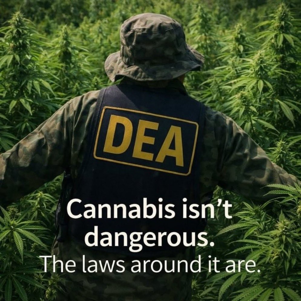 Stoner Barbie tweet media