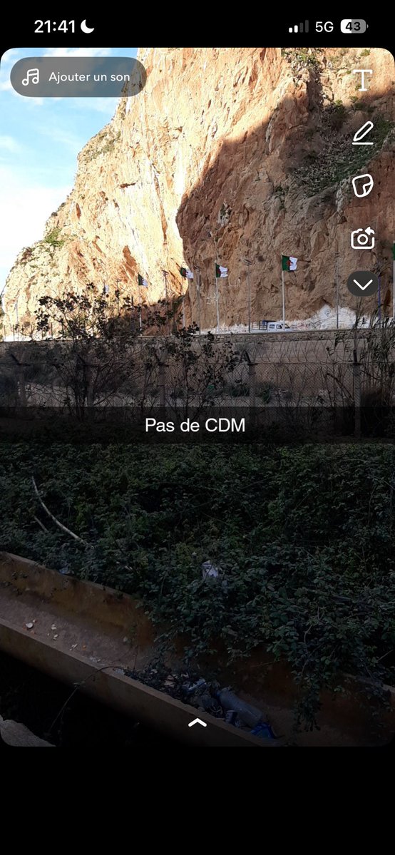 Le foot detruit ma vie 🇲🇦🇵🇸 tweet media