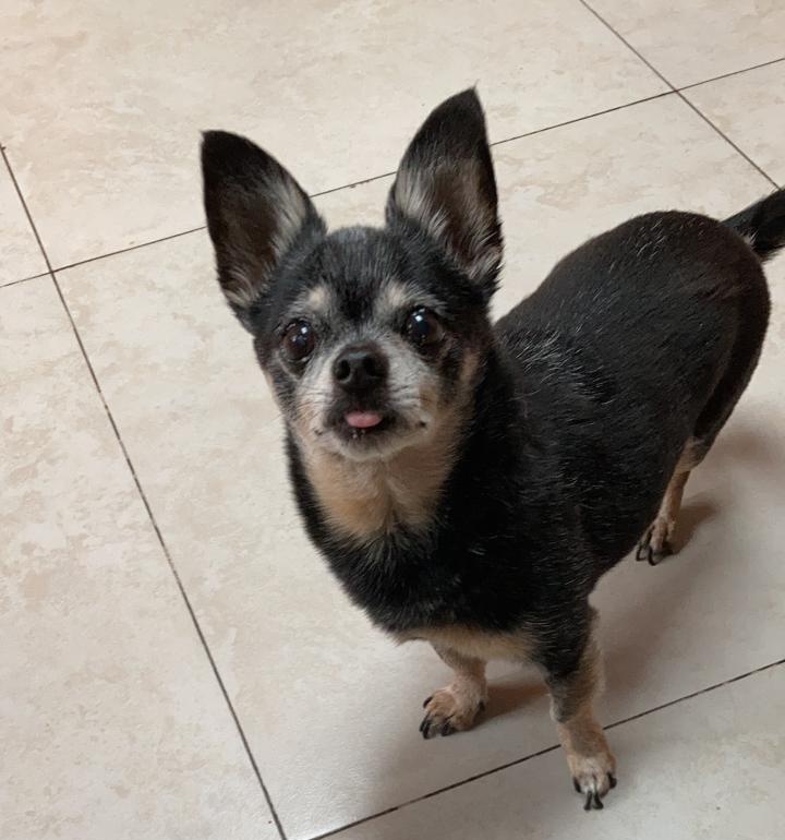 La Marquesa del visillo 🪟🚪 tweet media