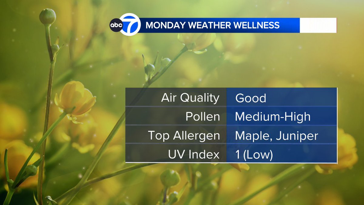 Jeff Smith tweet media